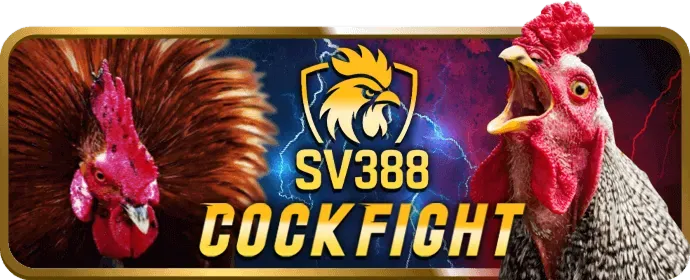 Ưu đãi chào mừng thành viên mới bomwin đăng ký
